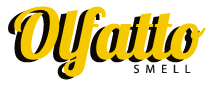 OLFATTO